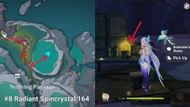 Radiant Spuncrystal in Nothing Passage #164 (Image via HoYoverse)